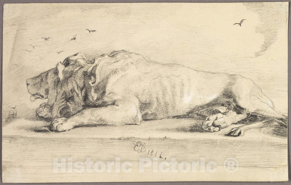 Art Print : Reclining Lion, Edwin Henry Landseer, c 1950, Vintage Wall Decor :
