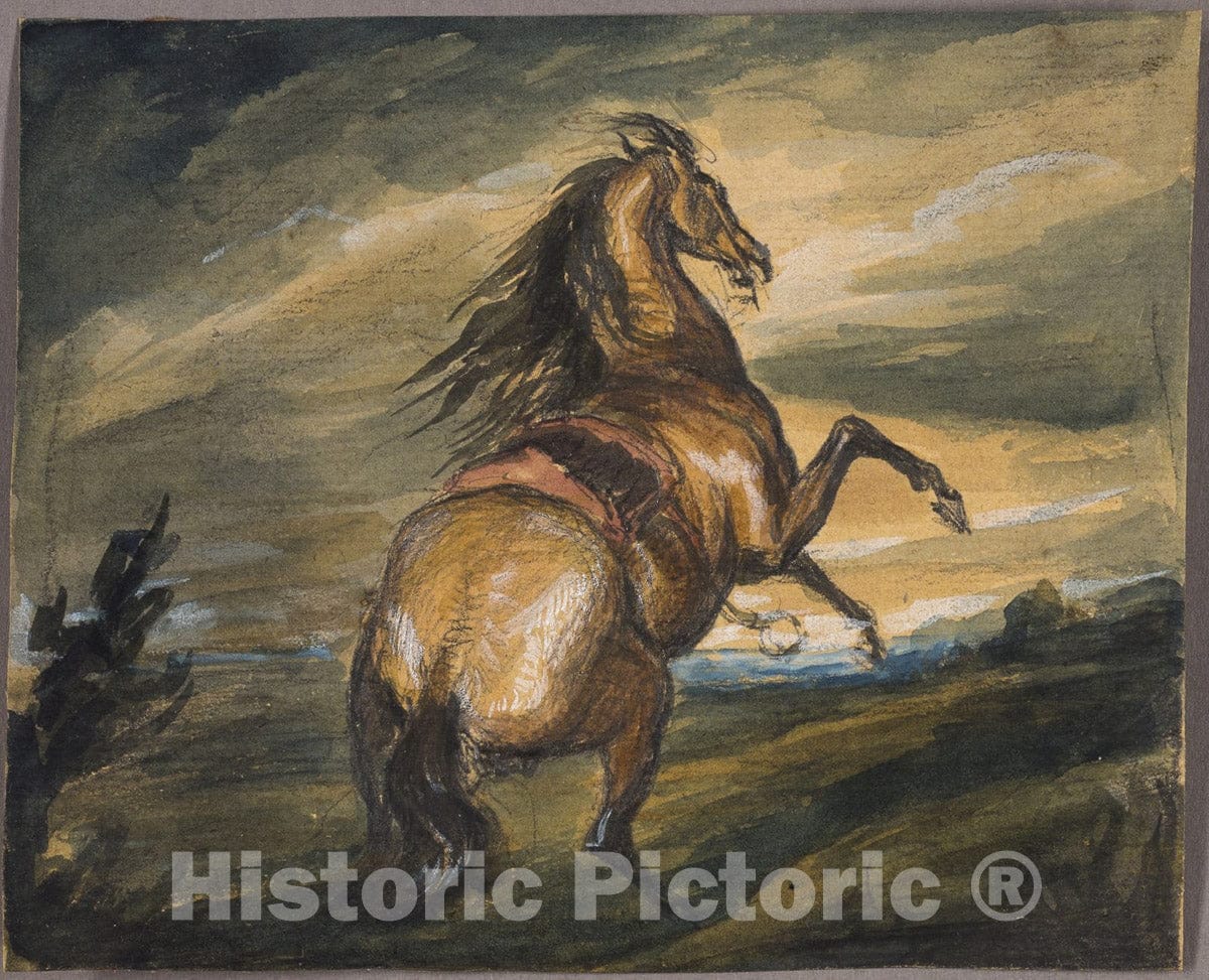 Art Print : Rearing Horse, Edwin Henry Landseer, c.1865, Vintage Wall Decor :