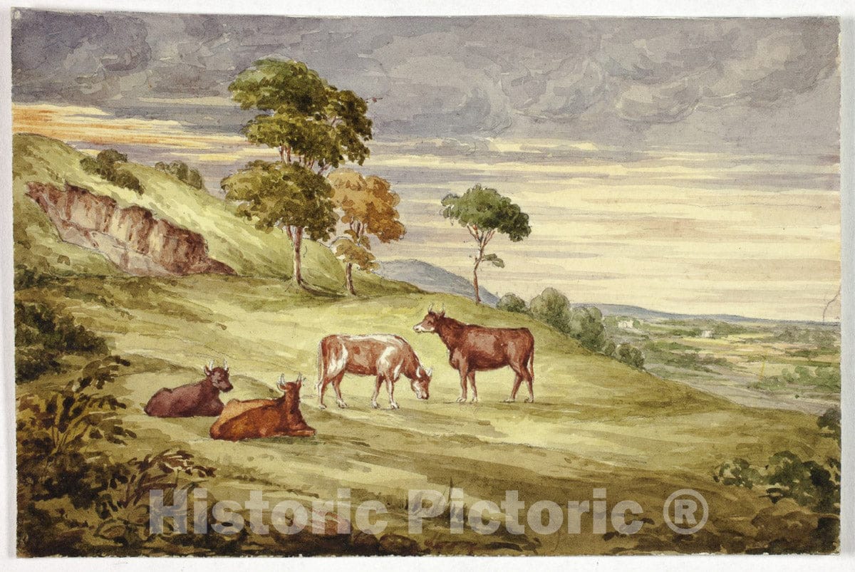 Art Print : Deer Park, possibly Kilkenny, Elizabeth Murray, c.1878, Vintage Wall Decor :