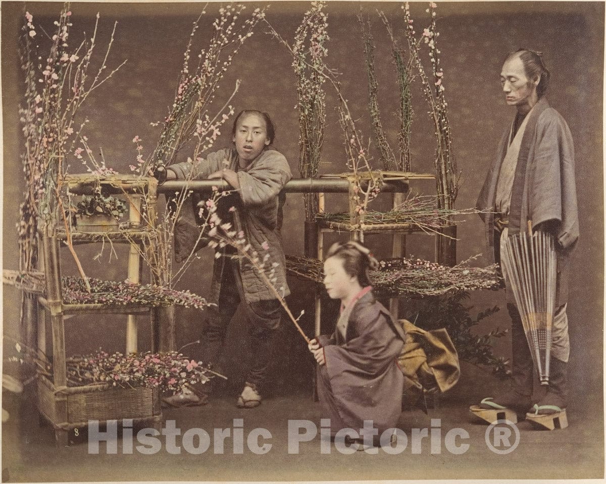 Photo Print : Two Japanese Men and One Japanese Woman Posing with Flowering Branches : Vintage Wall Art