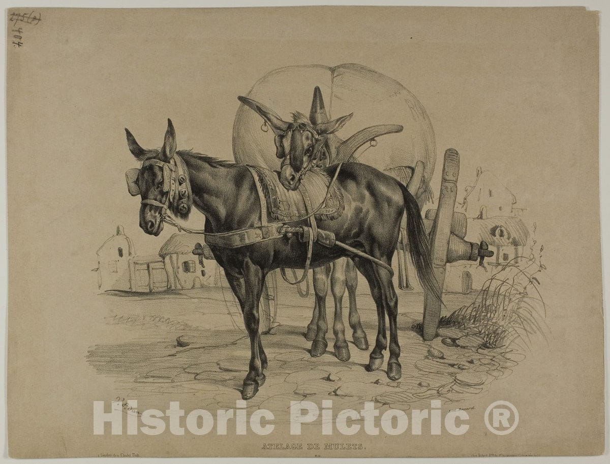 Art Print : Mules Harnessed, Victor Jean Adam, c.1969, Vintage Wall Decor :