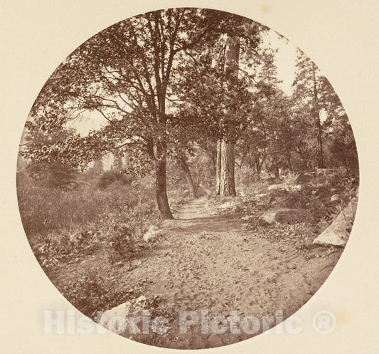 Photo Print : Carleton E. Watkins - in The Yosemite Valley : Vintage Wall Art