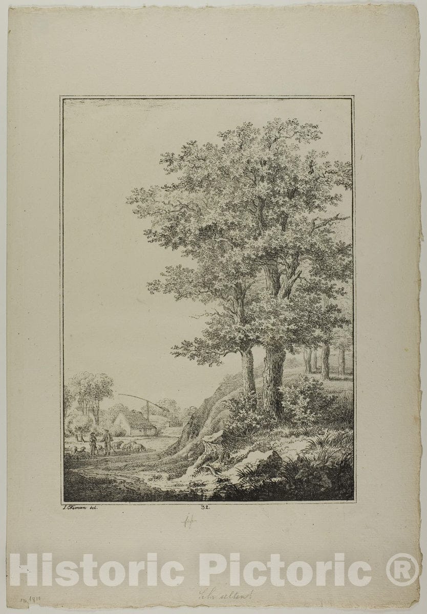 Art Print : Plate thirty-two from Blatt Baum und Landschafts Studien, Lorenz Ekemann Alesson, c 1960, Vintage Wall Decor :