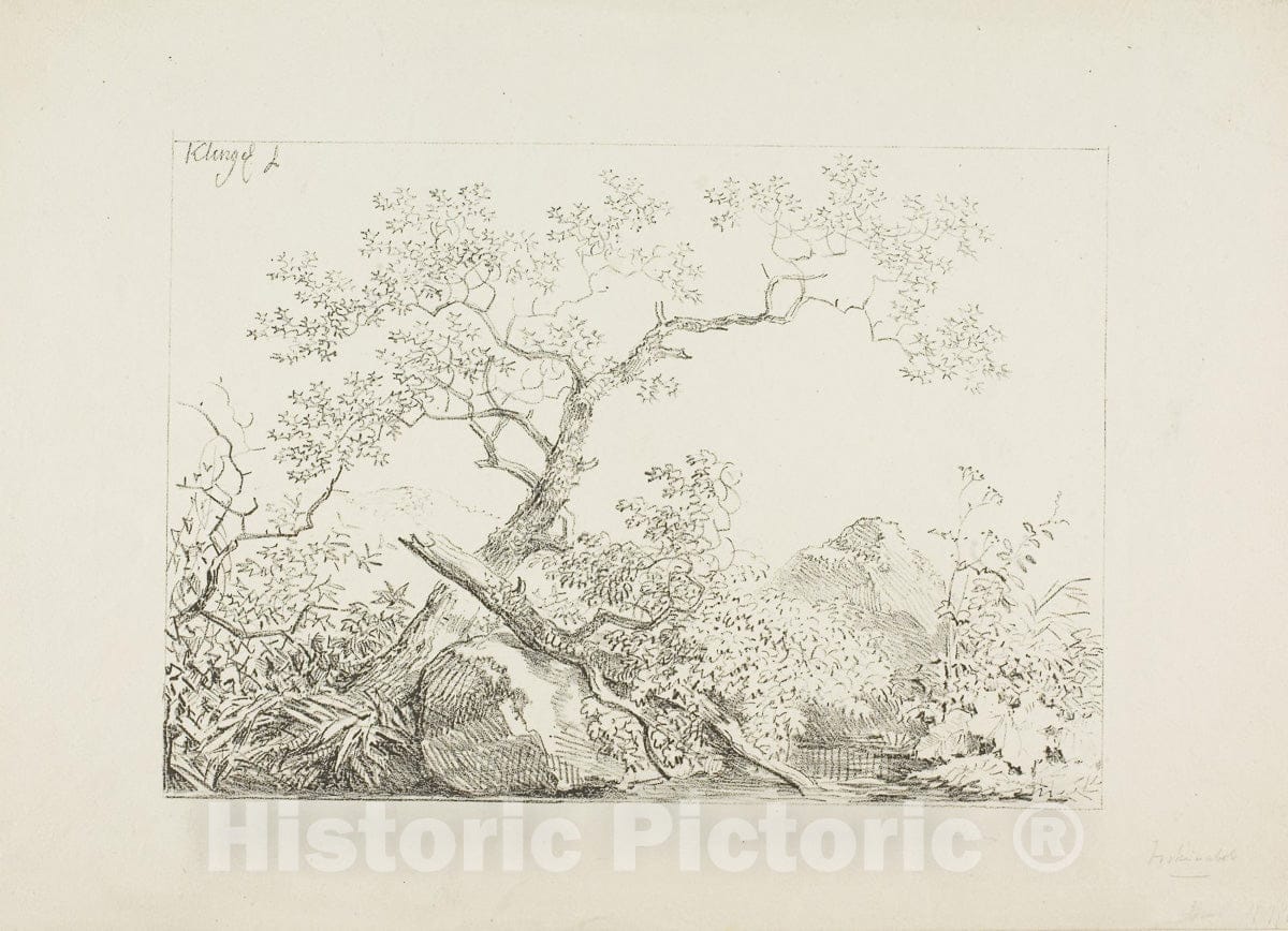 Art Print : Trees and Rocks by Water, Johann Christian Klengel, c 1922, Vintage Wall Decor :