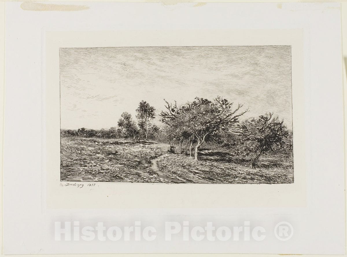 Art Print : Apple Trees at Auvers, Charles FranÃ§ois Daubigny, c.1895, Vintage Wall Decor :