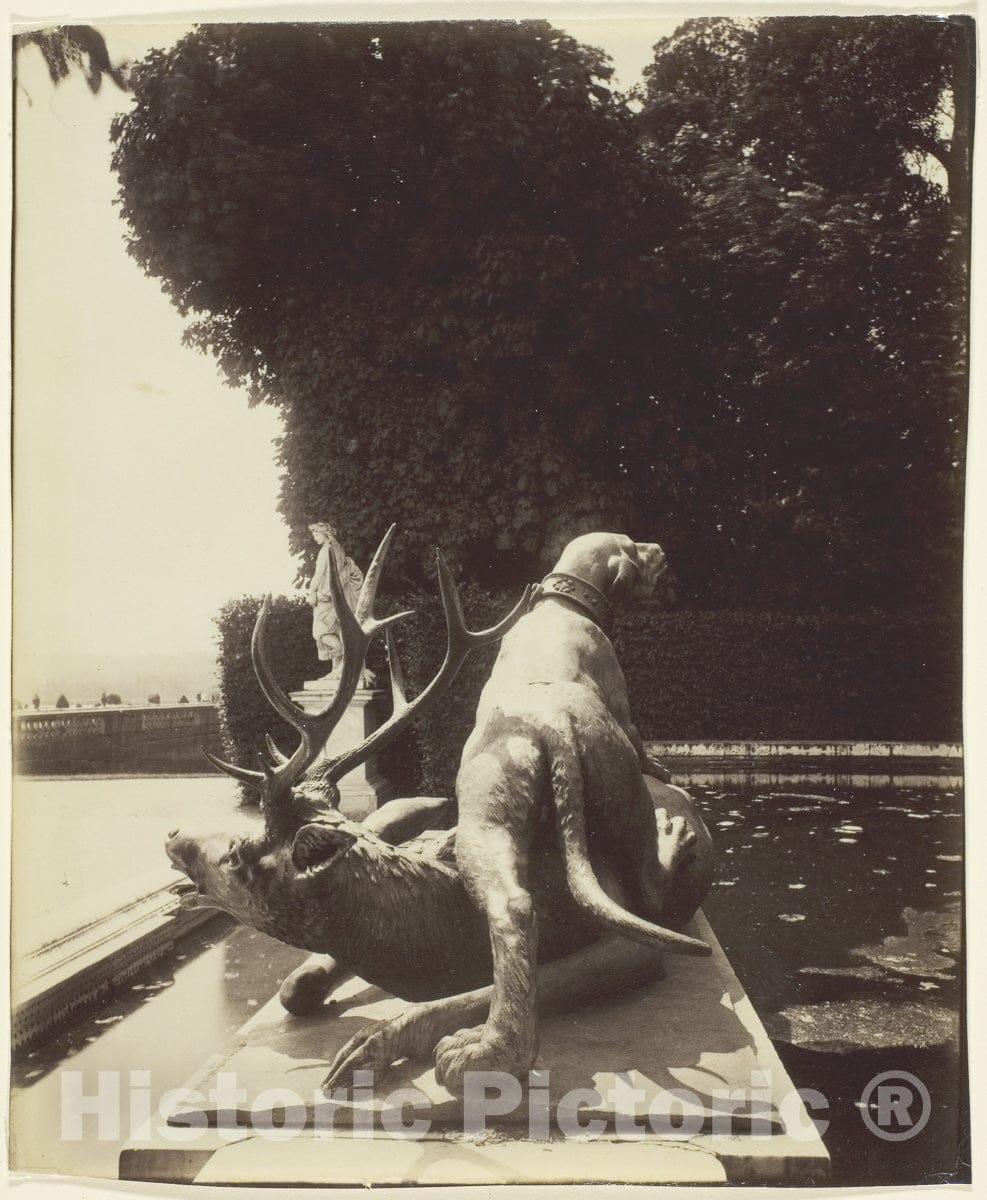 Art Photo : Versailles, Fontaine de Point du Jour, (Limier Abattant un Cerf par Houzeau), Jean-EugÃ¨ne-Auguste Atget, c 1902, Vintage Wall Decor :