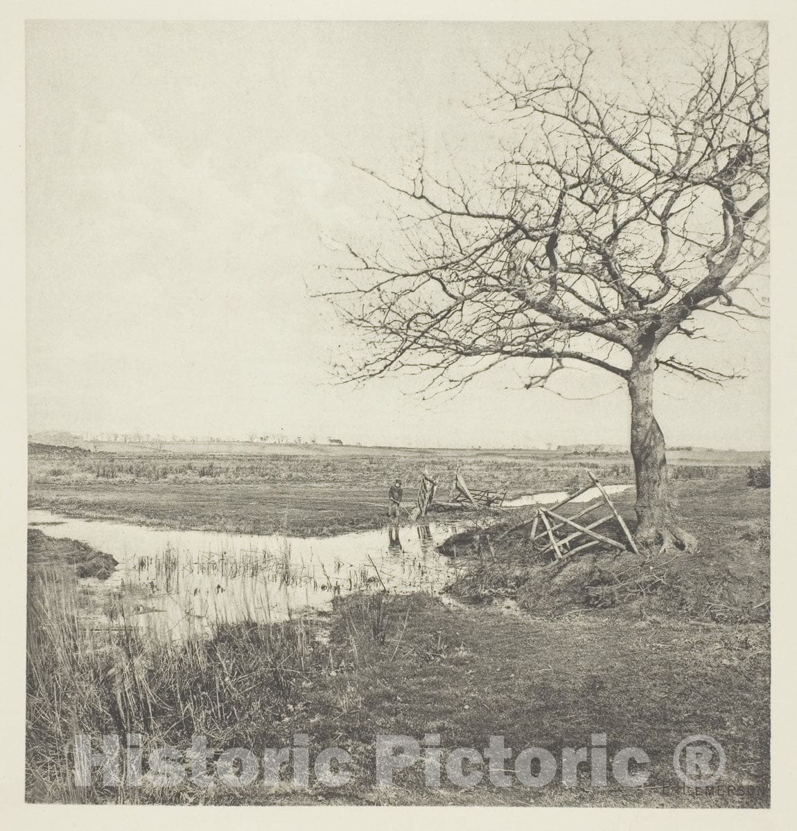 Art Photo : Leafless March (Suffolk), Peter Henry Emerson, c 1883, Vintage Wall Decor :
