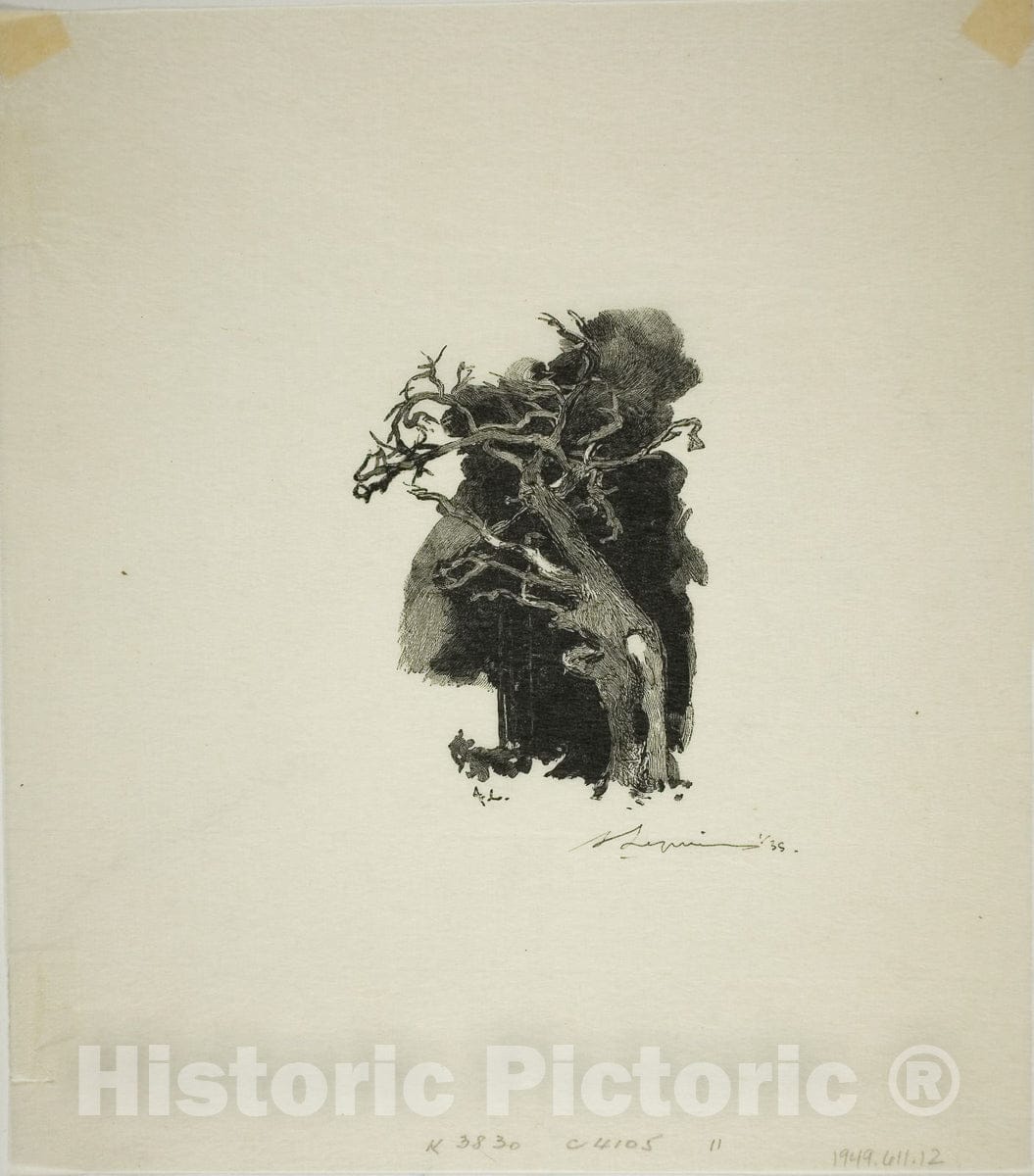 Art Print : The Spitfire, Louis Auguste LepÃ¨re, c.1908, Vintage Wall Decor :