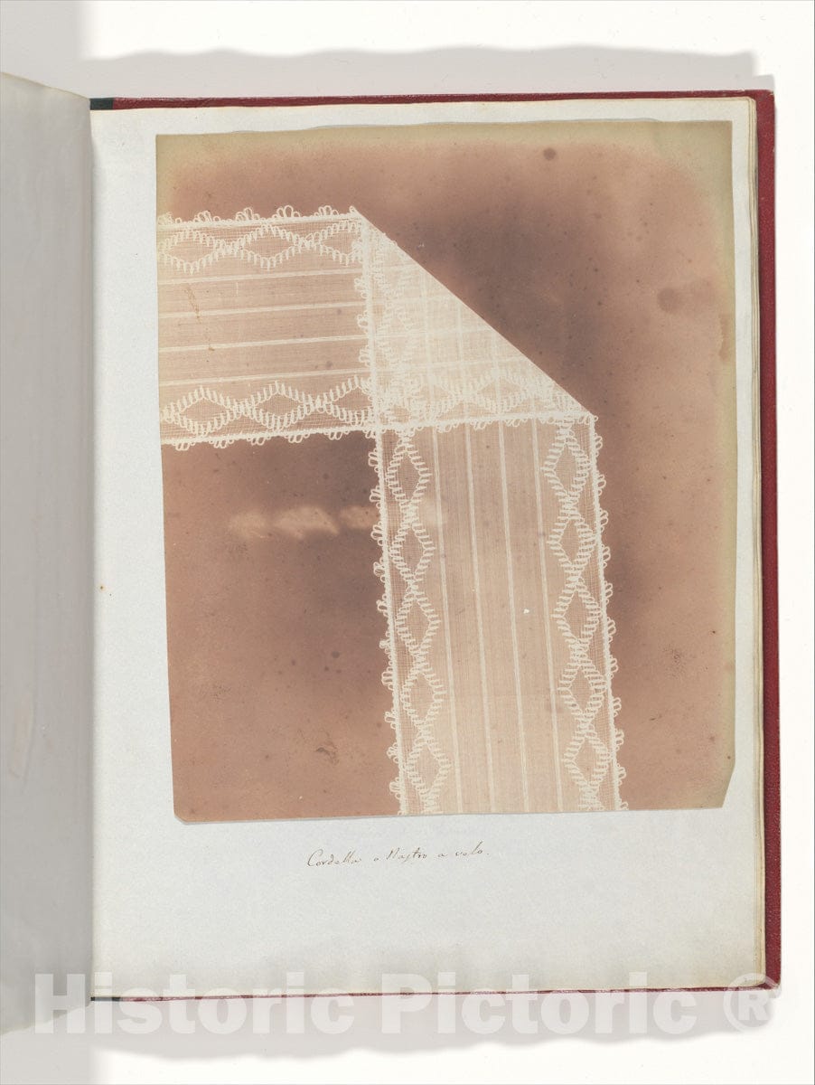 Photo Print : William Henry Fox Talbot - Cordella o Nastro a Velo : Vintage Wall Art