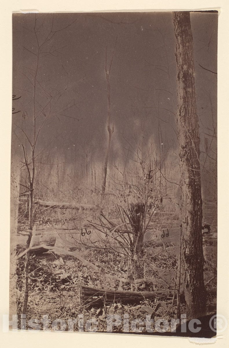 Photo Print : The Wilderness Battlefield : Vintage Wall Art