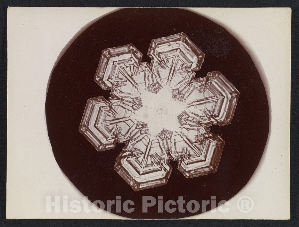Photo Print : Wilson Alwyn Bentley - Snow Crystal 21 : Vintage Wall Art