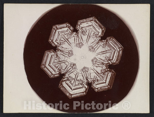 Photo Print : Wilson Alwyn Bentley - Snow Crystal 21 : Vintage Wall Art
