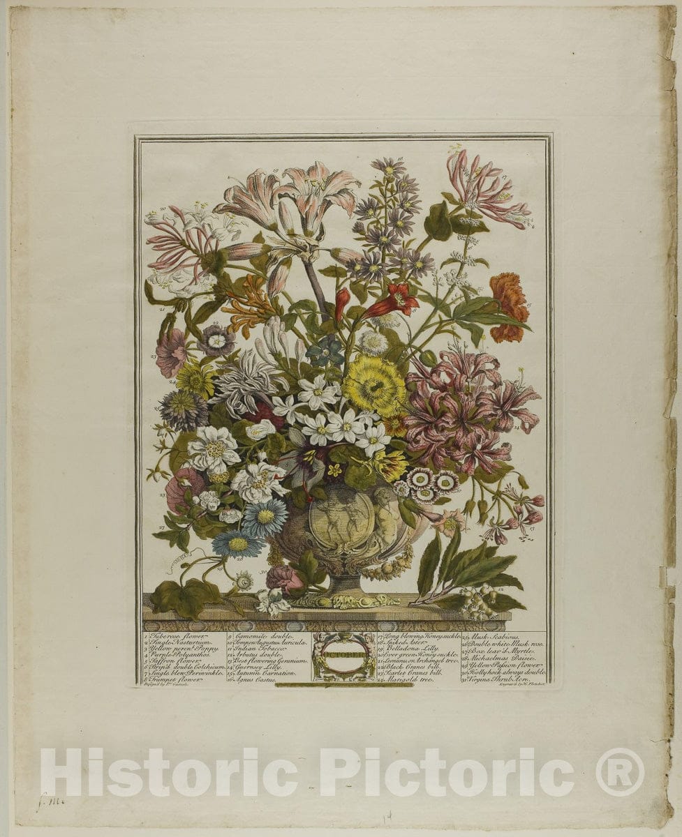 Art Print : October, from Twelve Months of Flowers, Henry Fletcher, c 1977, Vintage Wall Decor :