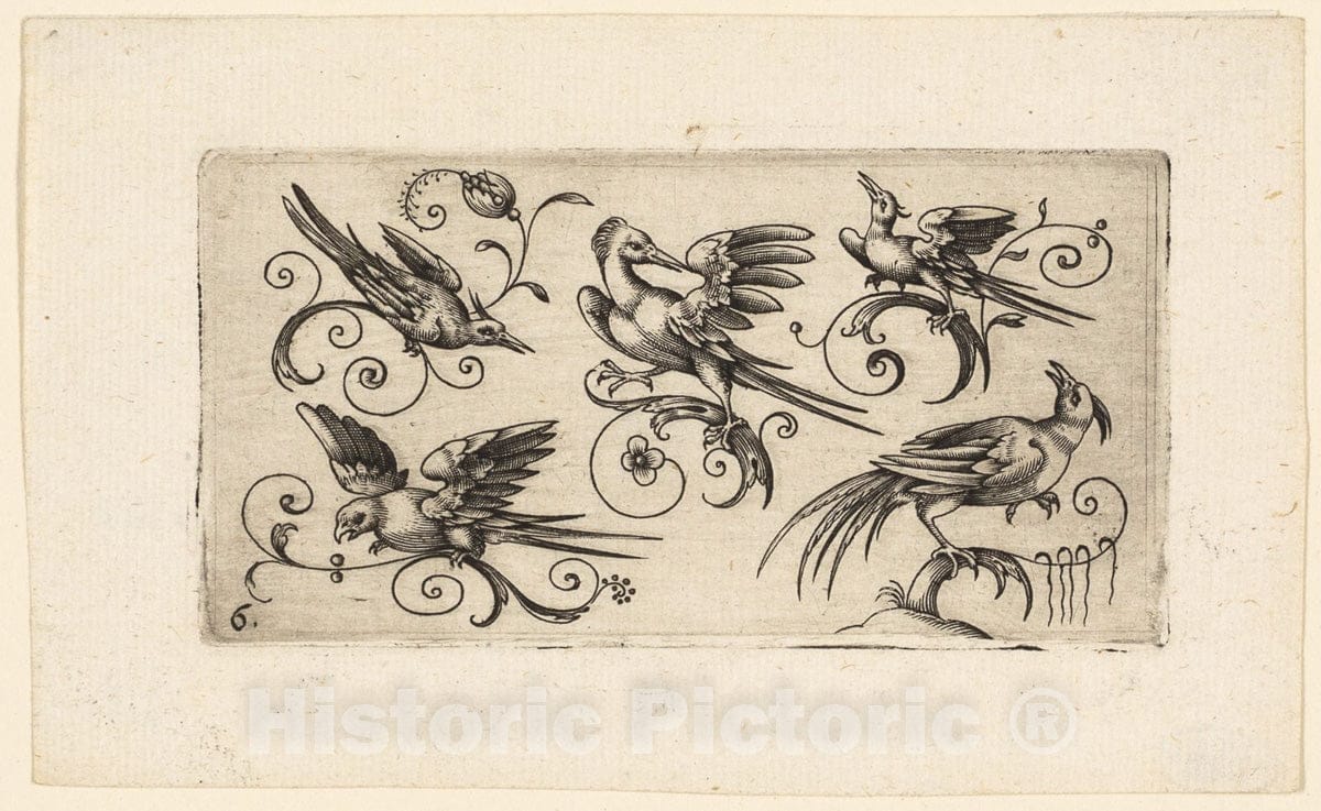 Art Print : Ornament Panels with Birds: Plate 6, Adrian Muntink, c.1564, Vintage Wall Decor :