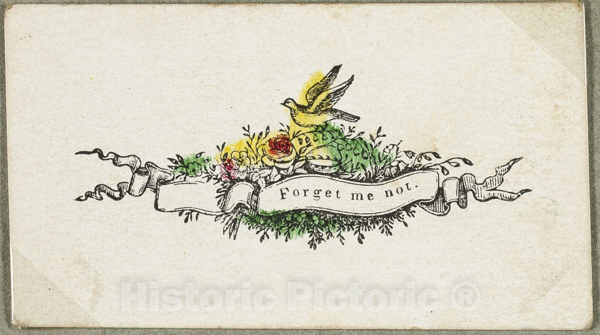 Art Print : Forget Me Not (valentine), Unknown Artist, c.1946, Vintage Wall Decor :