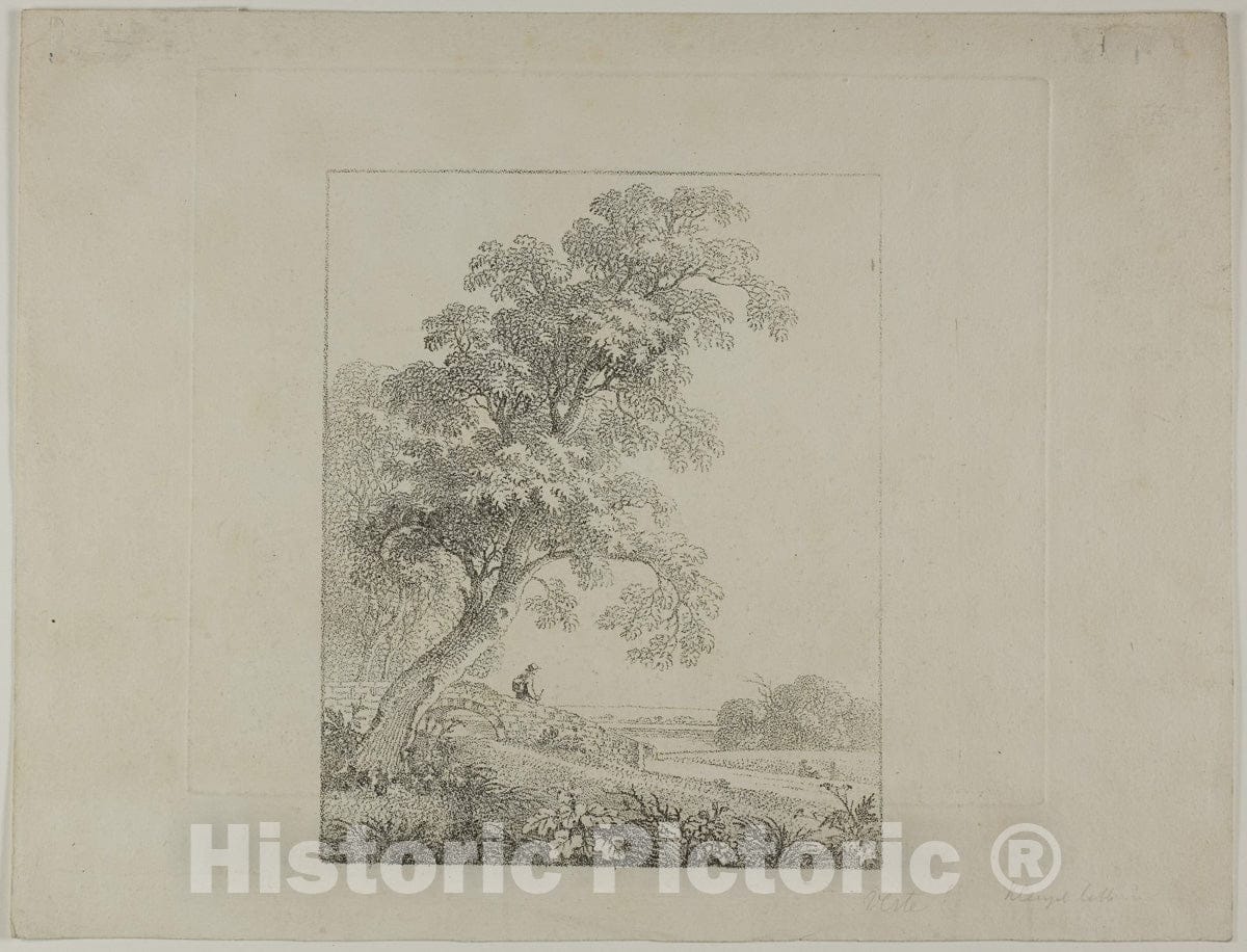 Art Print : Landscape with a Large Tree, Johann Christian Klengel, c 1978, Vintage Wall Decor :
