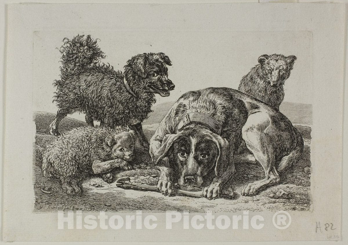 Art Print : Four Dogs, from Die Zweite Thierfolge, Johann Christian Reinhart, c.1612, Vintage Wall Decor :