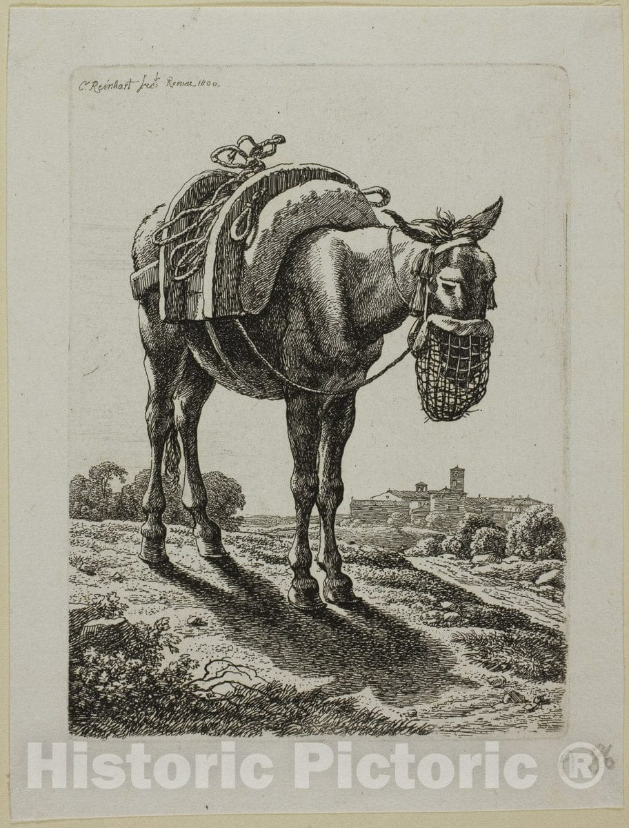 Art Print : Feeding Mule - Front, from Die Zweite Thierfolge, Johann Christian Reinhart, c.1612, Vintage Wall Decor :