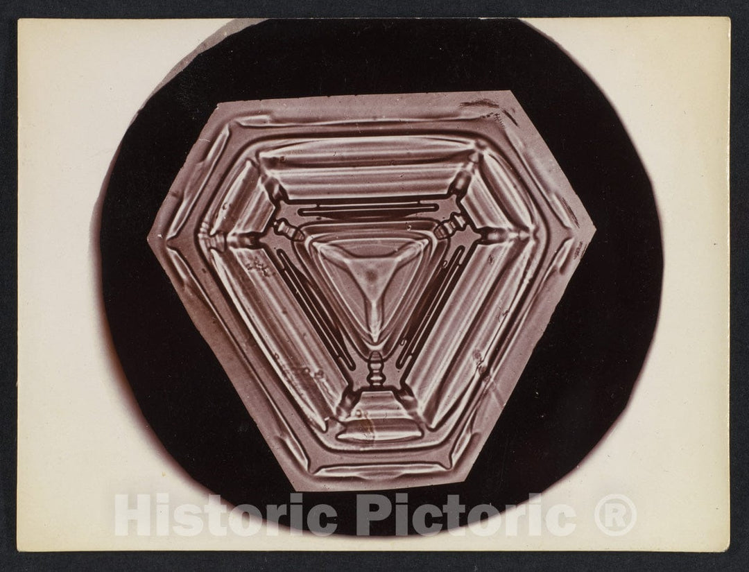 Photo Print : Wilson Alwyn Bentley - Snow Crystal 10 : Vintage Wall Art