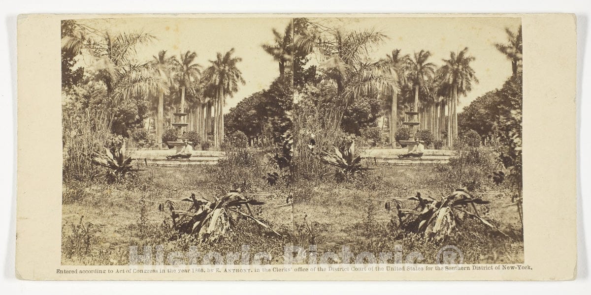 Art Photo : View at the Bishops Garden, Havana, Anthony and Company, c 1871, Vintage Wall Decor :