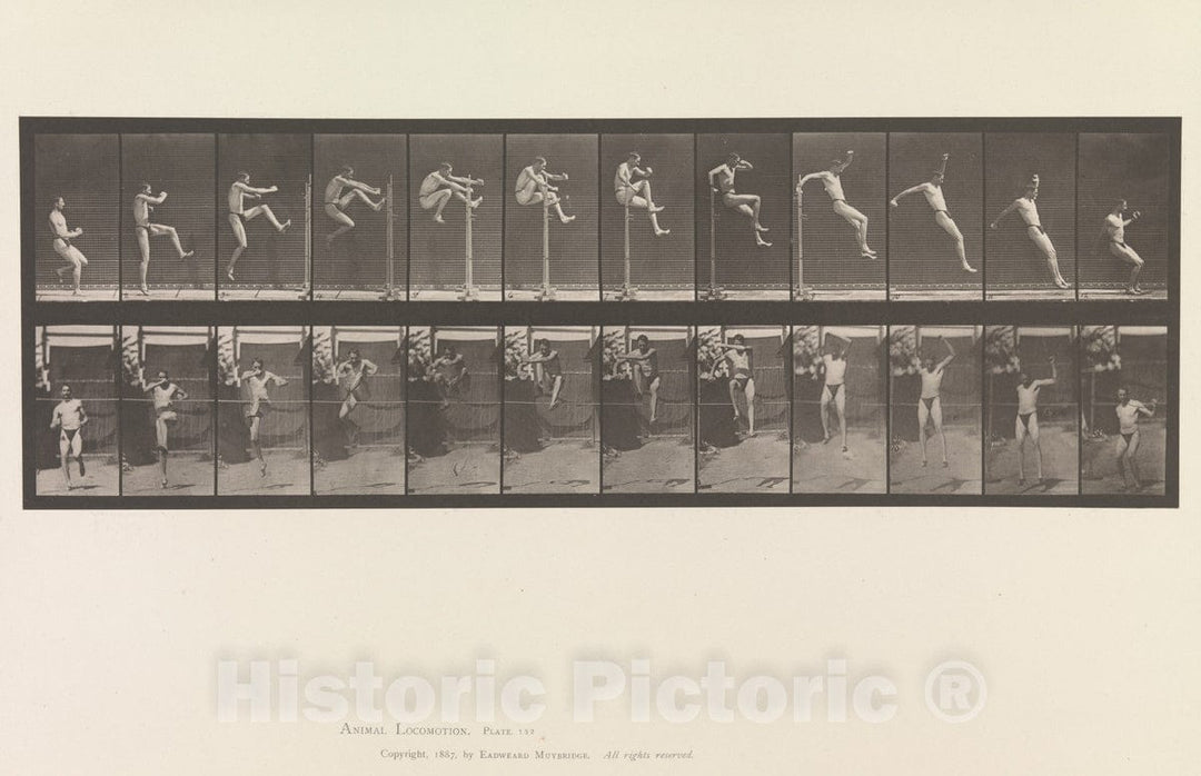 Art Print : Eadweard Muybridge  - Animal Locomotion.  Consecutive Phases of Animal Movements.  Volume V, Man (Pelvis Cloth) : Vintage Wall Art