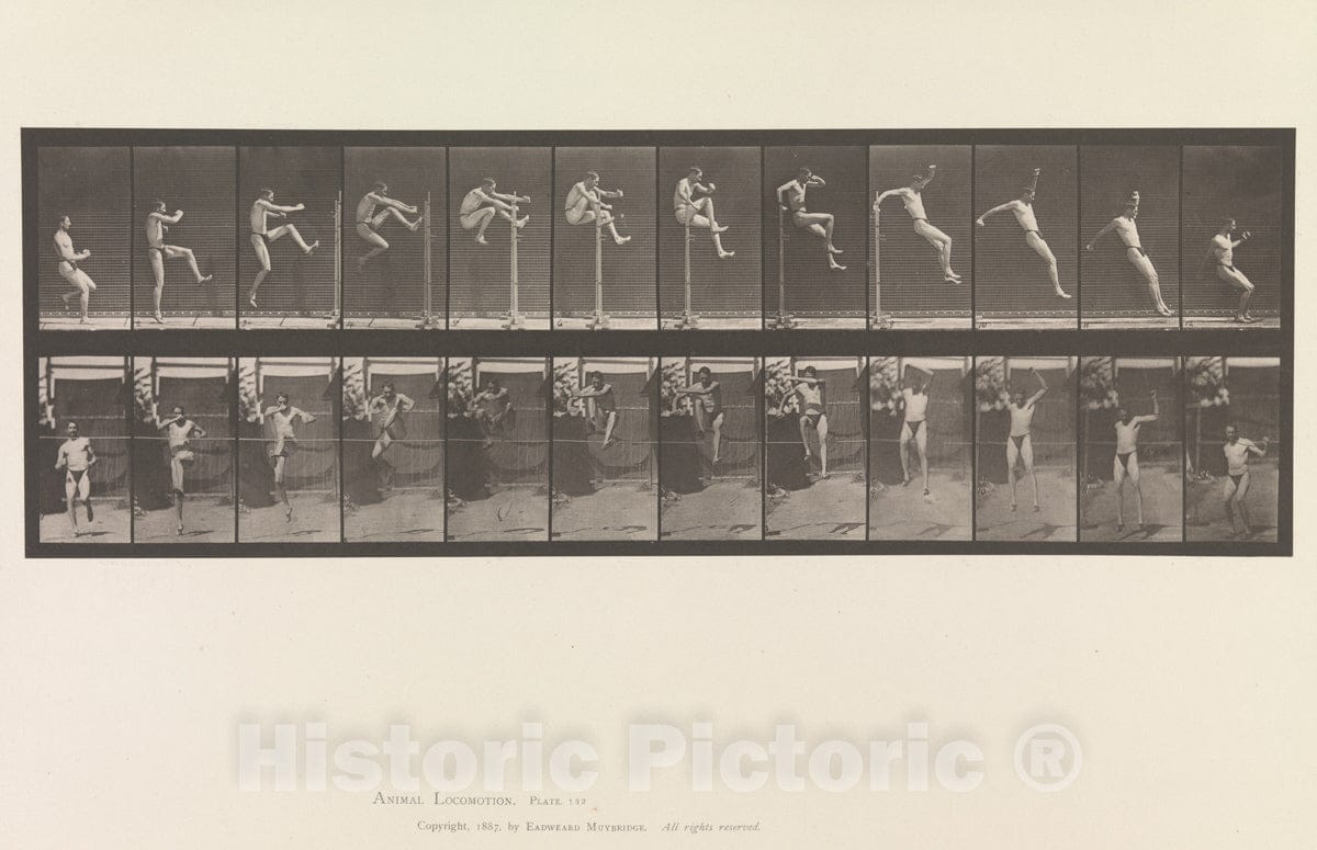Art Print : Eadweard Muybridge  - Animal Locomotion.  Consecutive Phases of Animal Movements.  Volume V, Man (Pelvis Cloth) : Vintage Wall Art