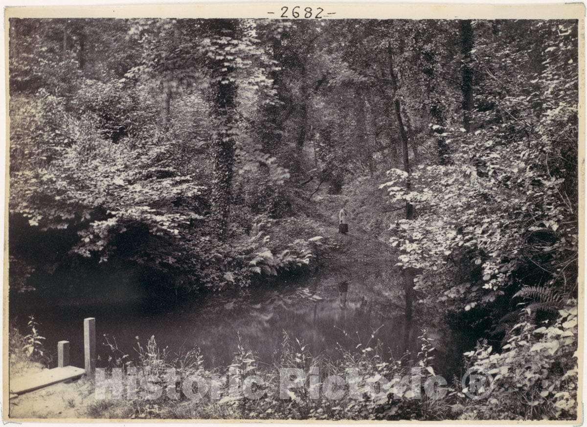 Photo Print : Francis Bedford - Colwyn Bay. The Pool in The Wood : Vintage Wall Art