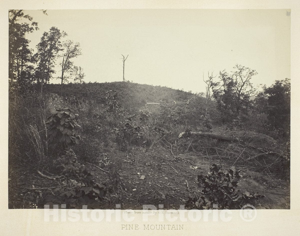 Art Photo : Pine Mountain, George N. Barnard, c 1864, Vintage Wall Decor :