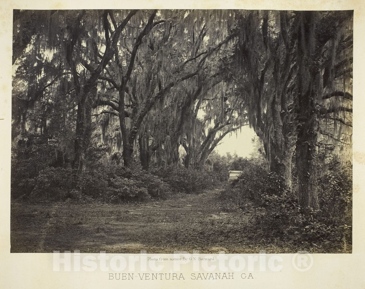 Art Photo : Buen-Ventura Savannah, Ga., George N. Barnard, c 1865, Vintage Wall Decor :