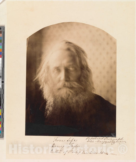 Photo Print : Julia Margaret Cameron - Henry Taylor. Author of Philip Van Artevelde : Vintage Wall Art