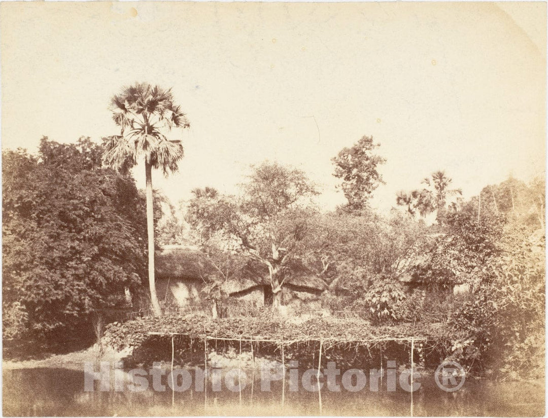 Photo Print : Captain R. B. Hill - View of The Jungle, Bengal : Vintage Wall Art