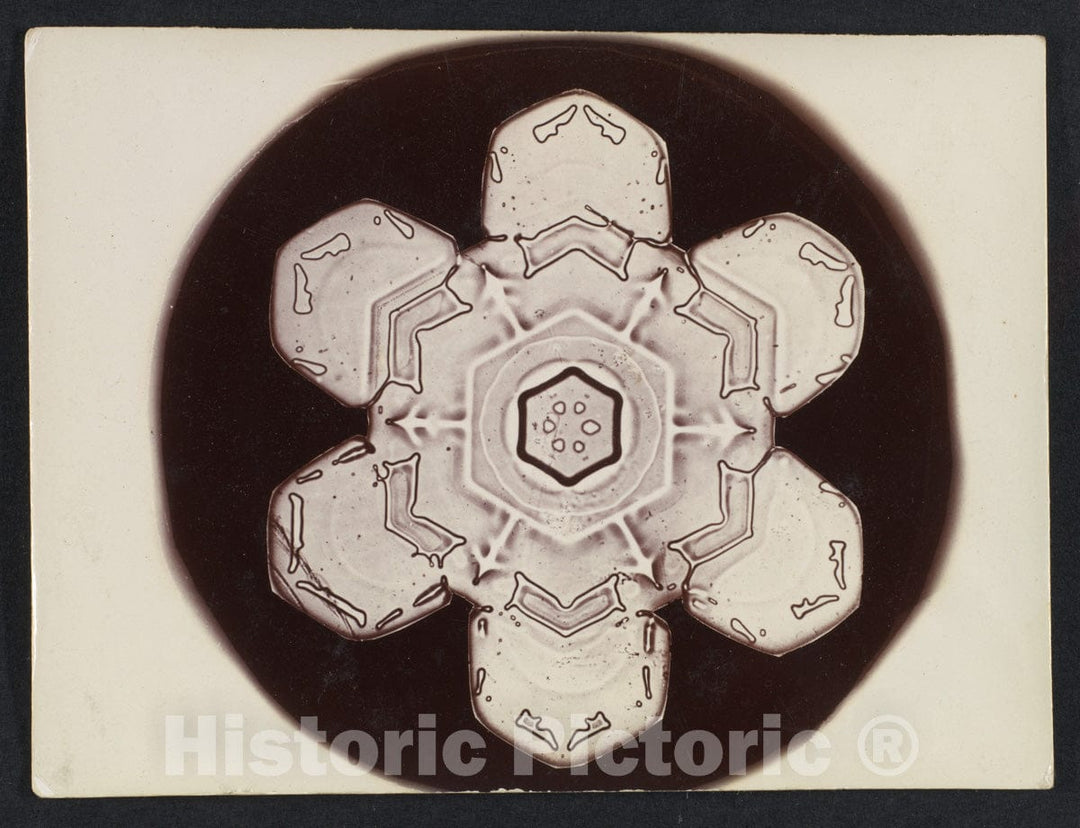 Photo Print : Wilson Alwyn Bentley - Snow Crystal 11 : Vintage Wall Art