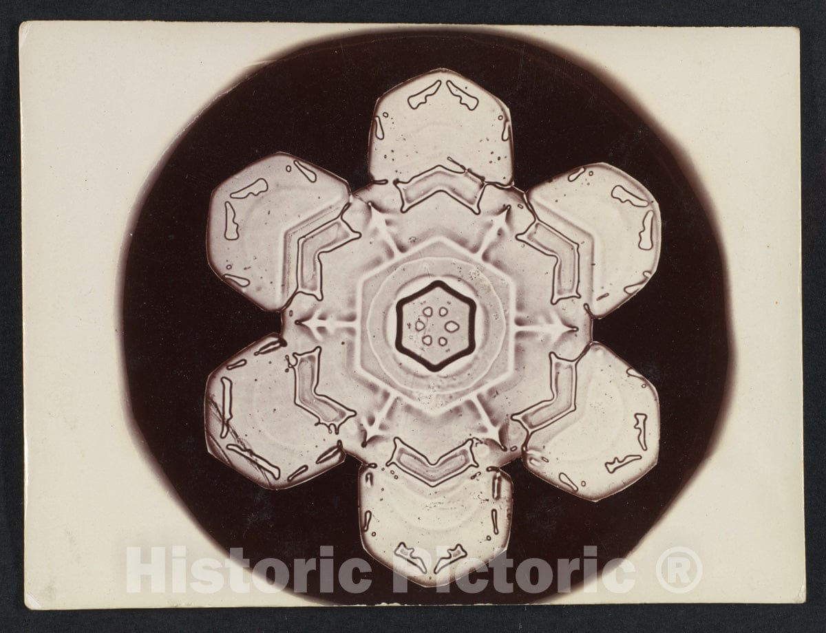 Photo Print : Wilson Alwyn Bentley - Snow Crystal 11 : Vintage Wall Art
