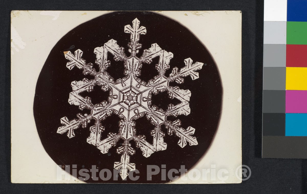 Photo Print : Wilson Alwyn Bentley - Snow Crystal 23 : Vintage Wall Art