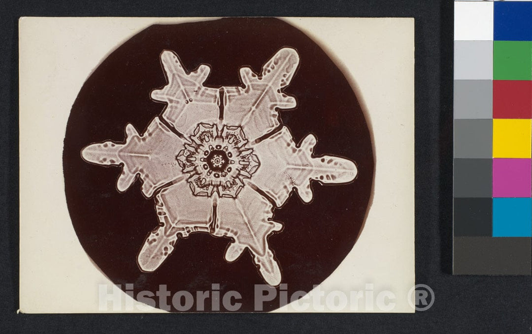 Photo Print : Wilson Alwyn Bentley - Snow Crystal - 406228 : Vintage Wall Art