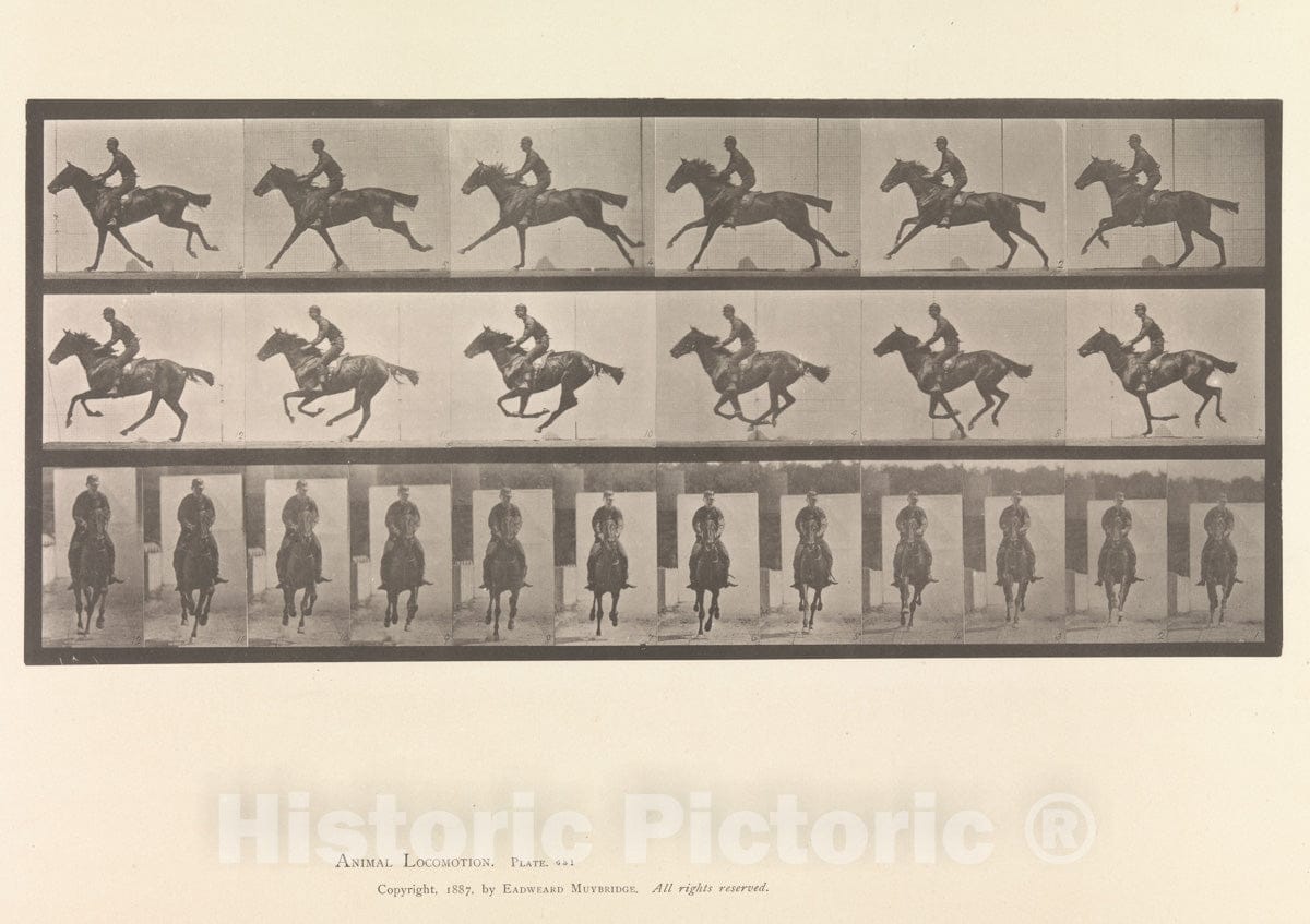 Photo Print : Eadweard Muybridge - Horse and Rider Galloping : Vintage Wall Art