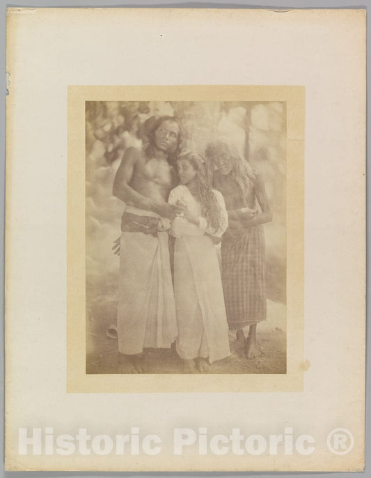 Photo Print : Julia Margaret Cameron - Ceylonese Group by a Tree : Vintage Wall Art