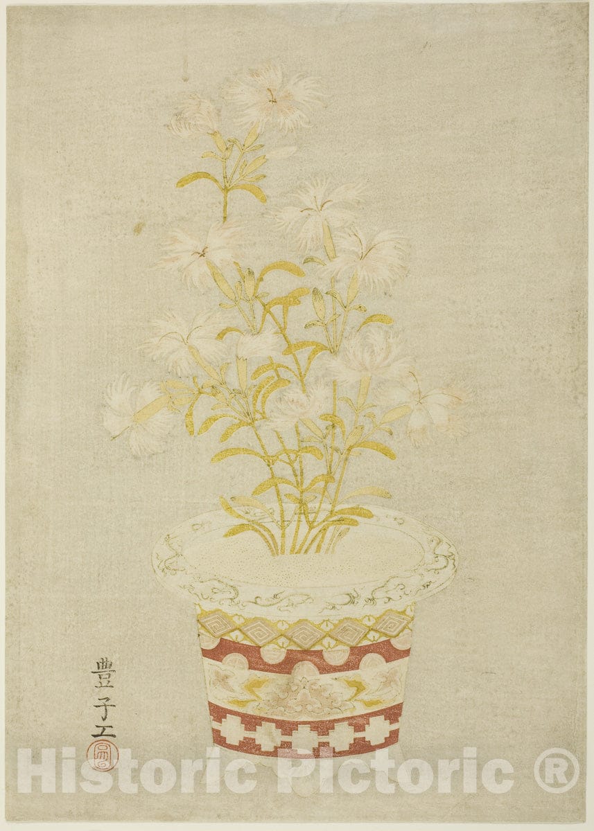 Art Print : Pinks in a Porcelain Pot, Artist Unknown, c 1765, Vintage Wall Decor :