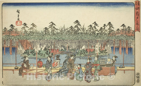 Art Print : Wisteria at Kameido , from Famous Places in the Eastern Capital , Utagawa Hiroshige, c 1841, Vintage Wall Decor :