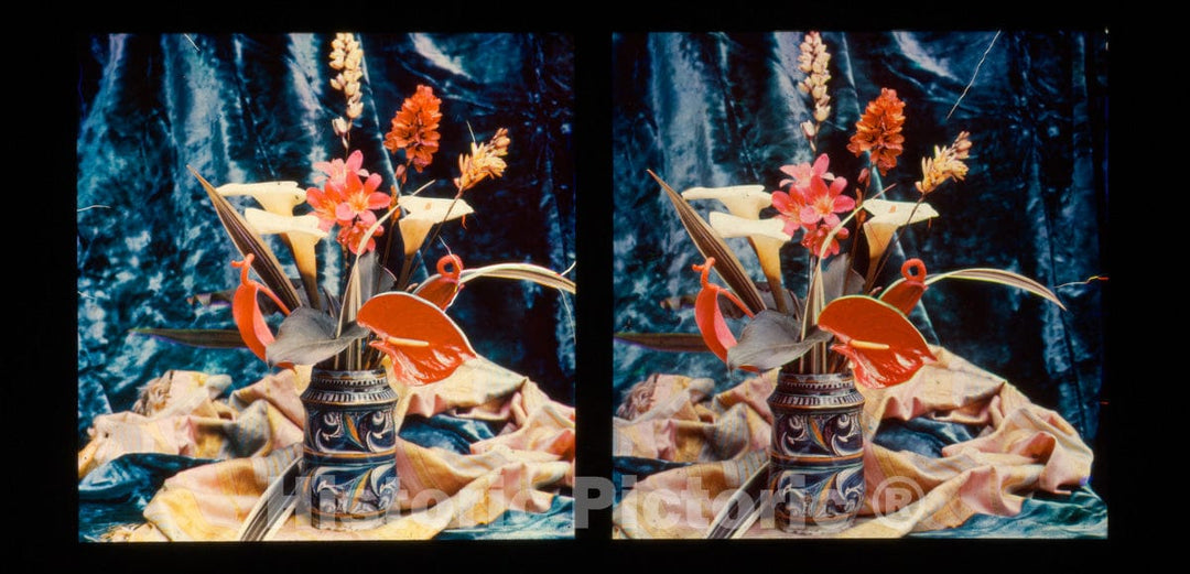 Art Print : Auguste-Marie-Louis-Nicolas Lumière - Still Life of Flowers in a Stein : Vintage Wall Art