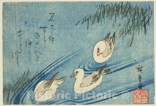 Art Print : Oystercatchers, Utagawa Hiroshige, c 1834, Vintage Wall Decor :