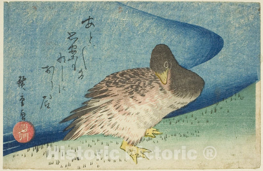 Art Print : Goose on riverbank, Utagawa Hiroshige, c 1834, Vintage Wall Decor :