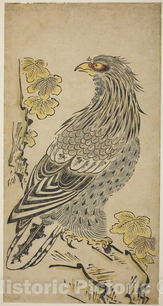 Art Print : A Hawk on a Cliff near a Kiri Tree, Torii Kiyomasu I, c 1716, Vintage Wall Decor :