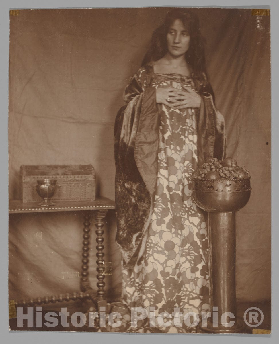 Photo Print : Alice Gerson Chase (Mrs. William Merritt Chase) - Portrait of Alice Dieudonne Chase : Vintage Wall Art