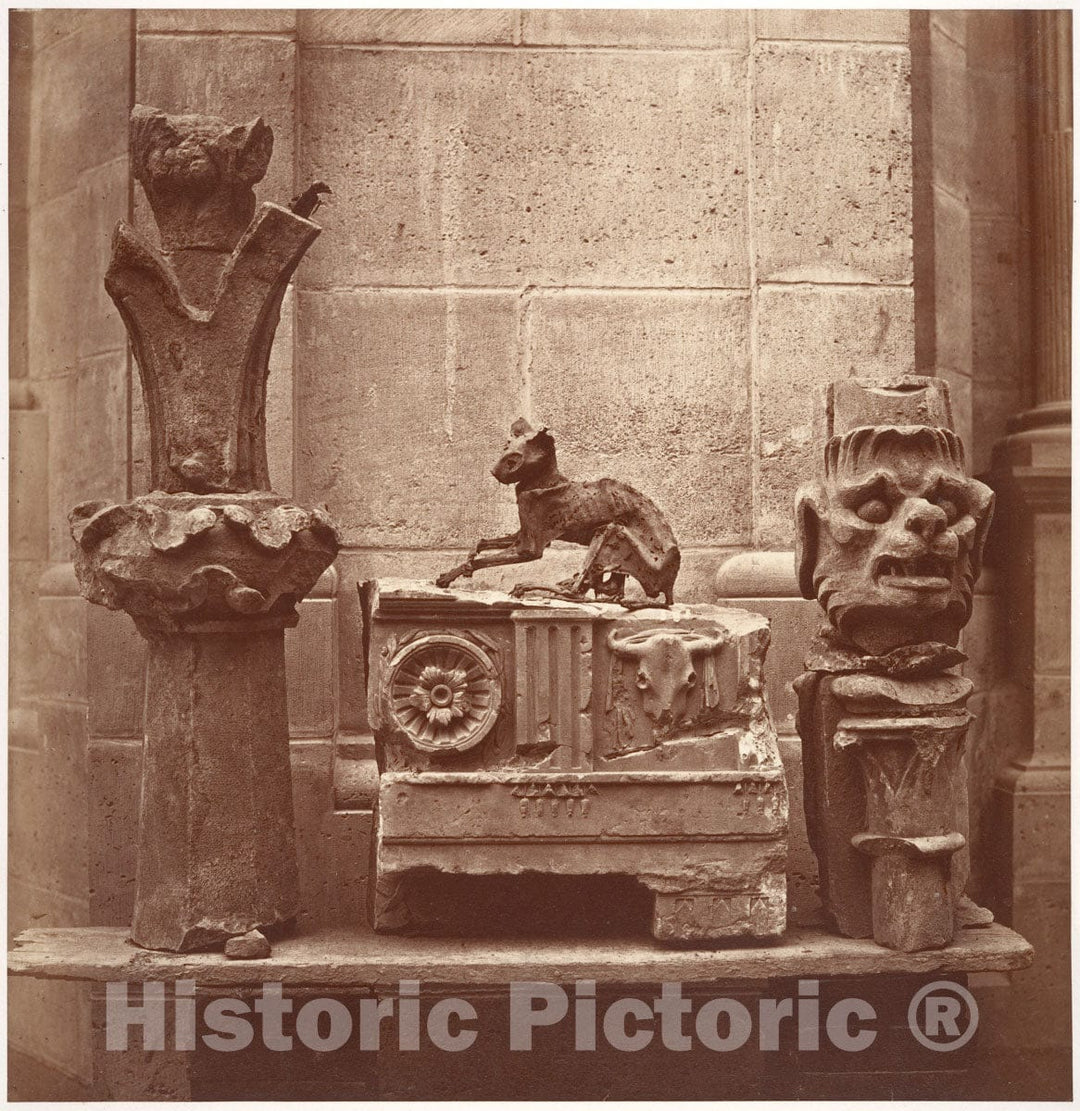 Photo Print : Charles Marville - Le Chat Momifié (trouvé Dans les fouilles de Saint-Germain-en-Laye) : Vintage Wall Art