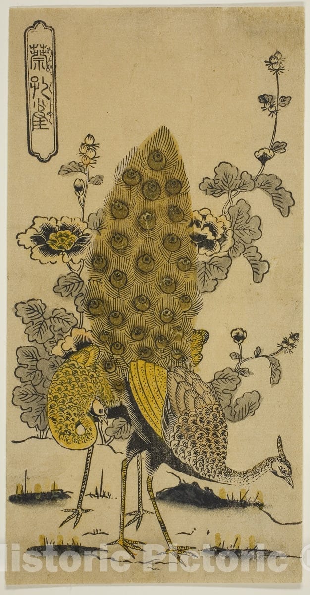 Art Print : Hollyhocks and Peacocks (Aoi ni kujaku), Nishimura Shigenobu, c 1732, Vintage Wall Decor :