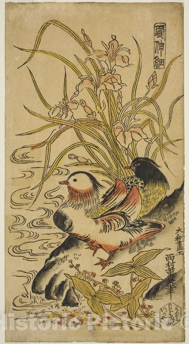 Art Print : Mandarin Ducks, from the series "Kashinsai", Nishimura Shigenaga, c 1726, Vintage Wall Decor :