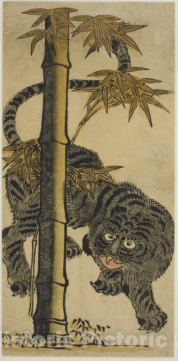 Art Print : Bamboo and Tiger, Nishimura Shigenaga, c 1728, Vintage Wall Decor :