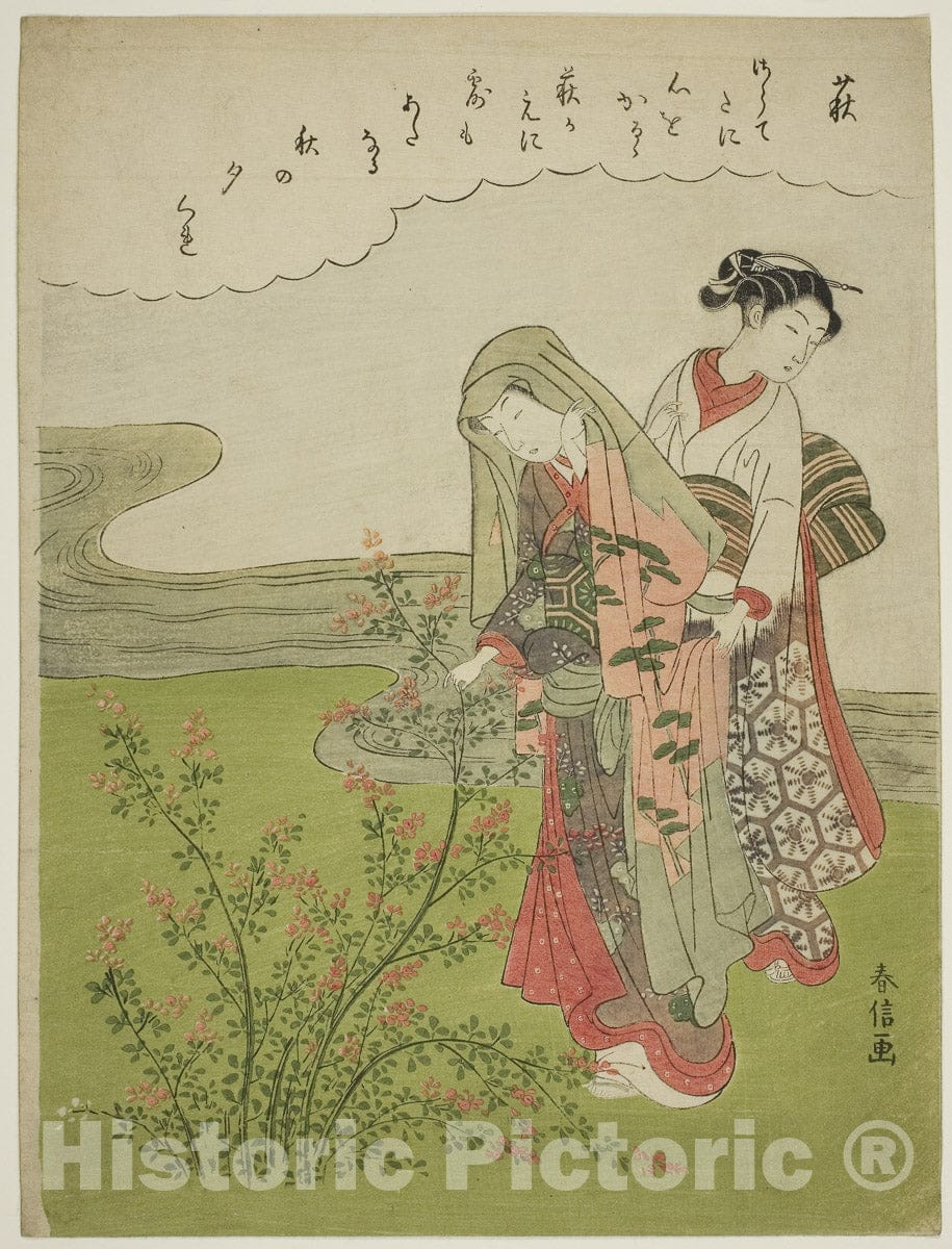 Art Print : Bush Clover (Hagi), from an untitled series of Flowers, Suzuki Harunobu, c 1767, Vintage Wall Decor :