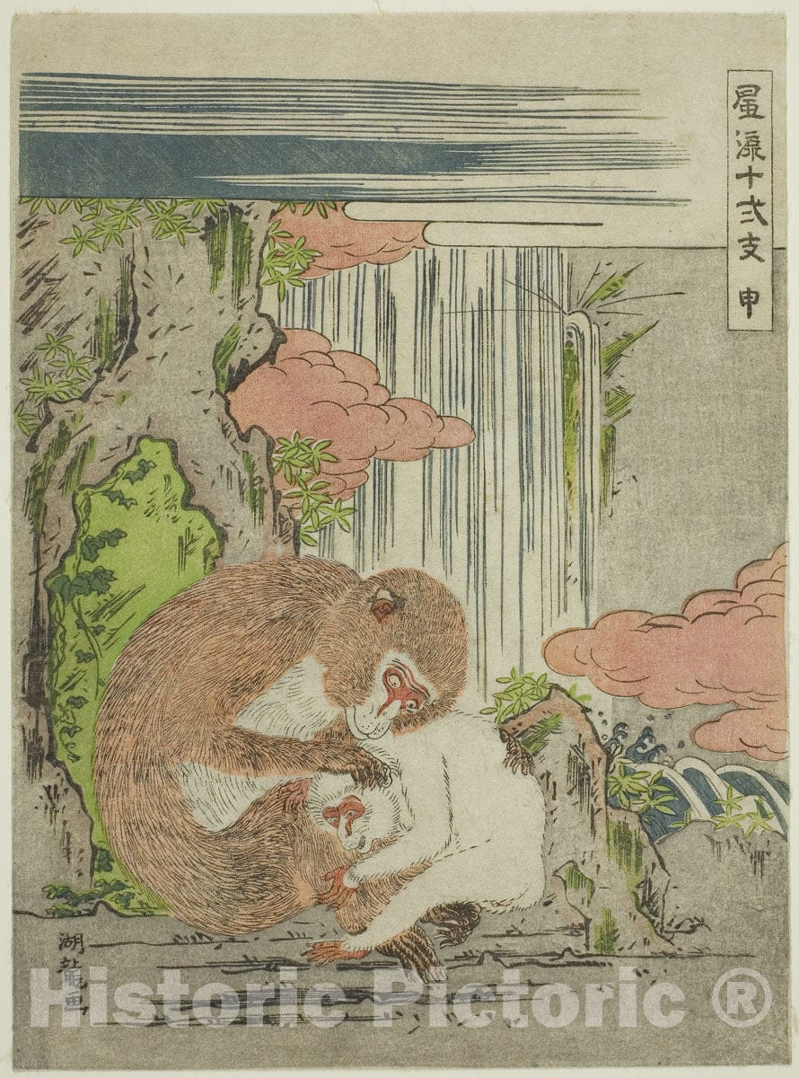 Art Print : Monkey (Saru), from the series "Fashionable Twelve Signs of the Zodiac (Furyu juni shi)", Isoda Koryusai, c 1774, Vintage Wall Decor :
